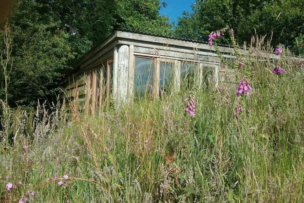 Foxesden, Unique Eco Cabin, Dartmoor Views South Brent Exteriér fotografie