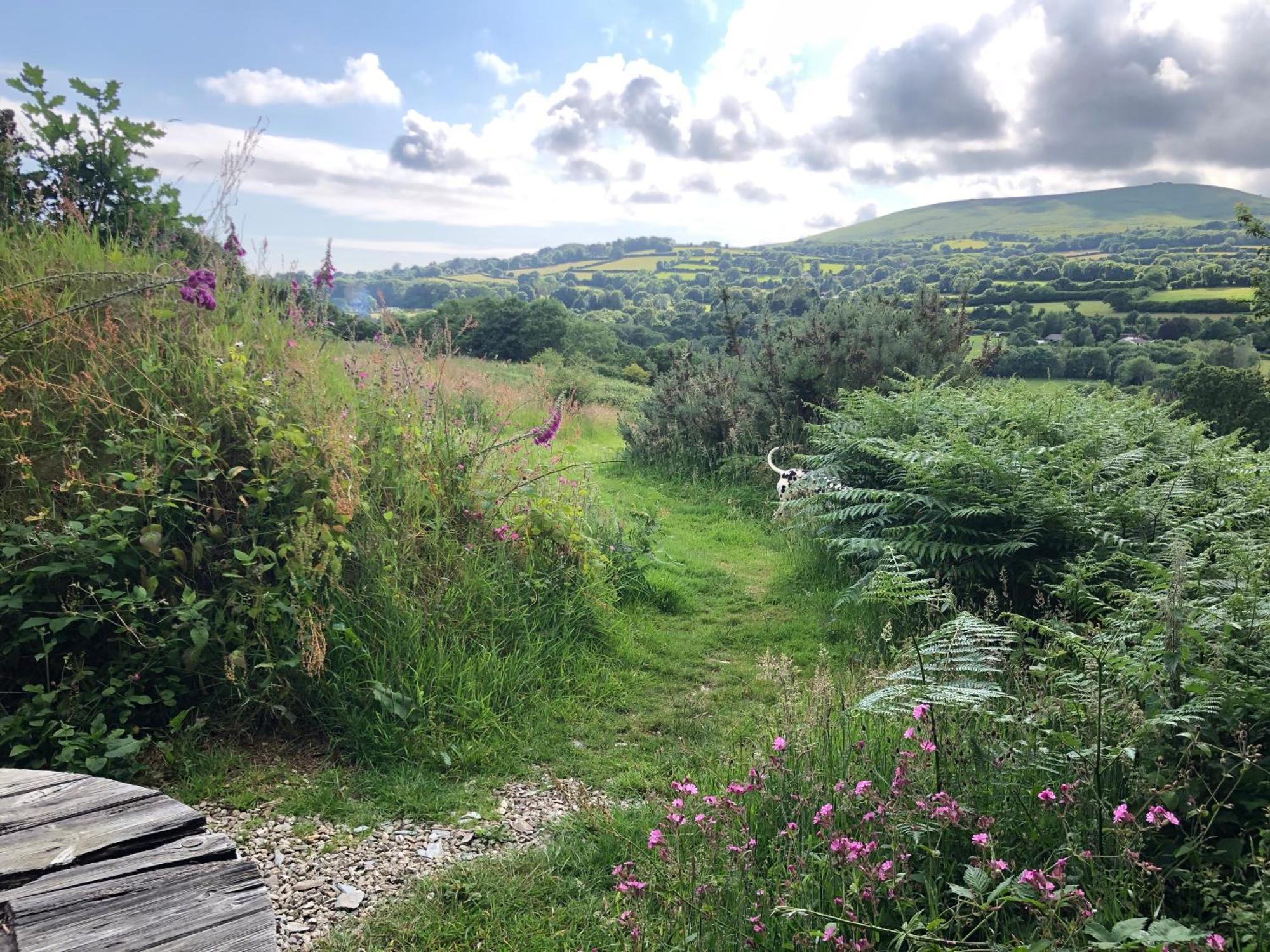 Foxesden, Unique Eco Cabin, Dartmoor Views South Brent Exteriér fotografie
